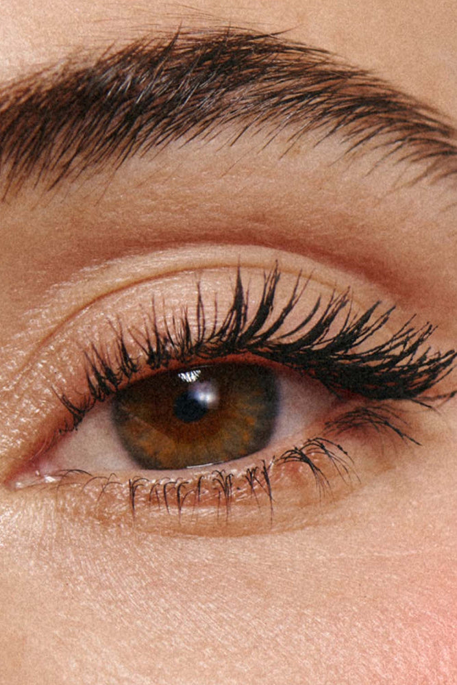 Eye Level