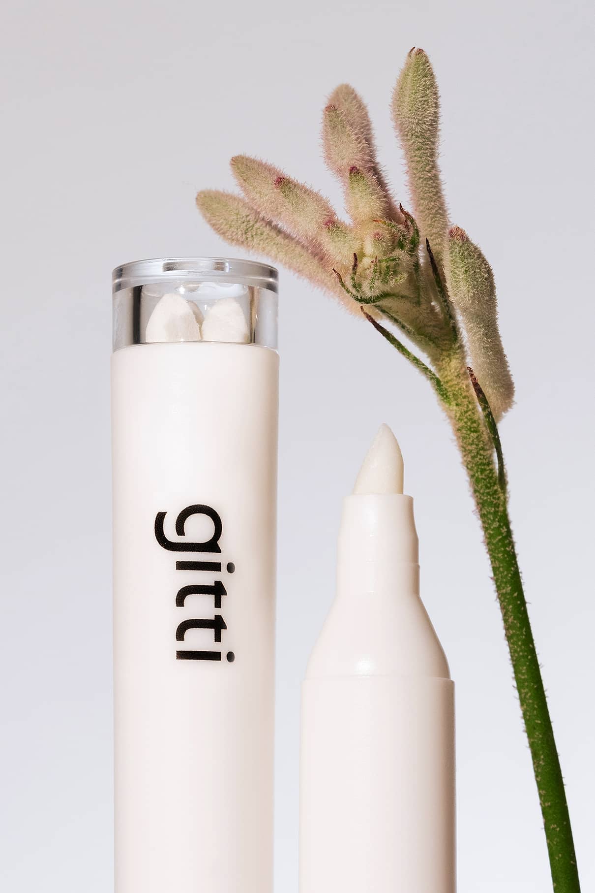 Corrector Pen
