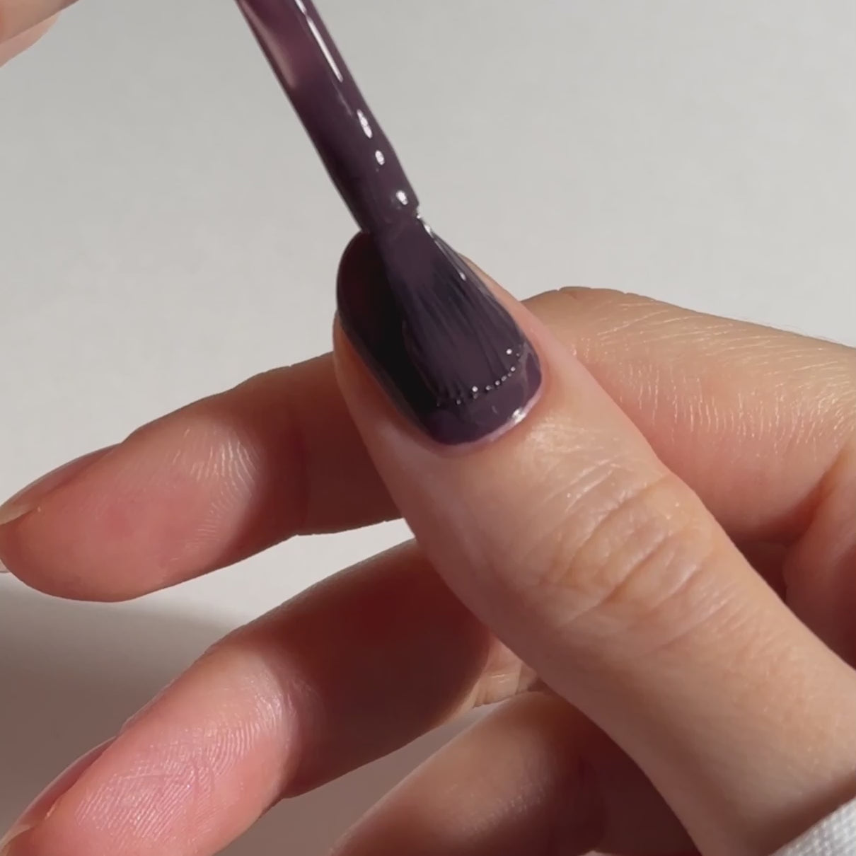 gitti no. 012, Dark Plum Application