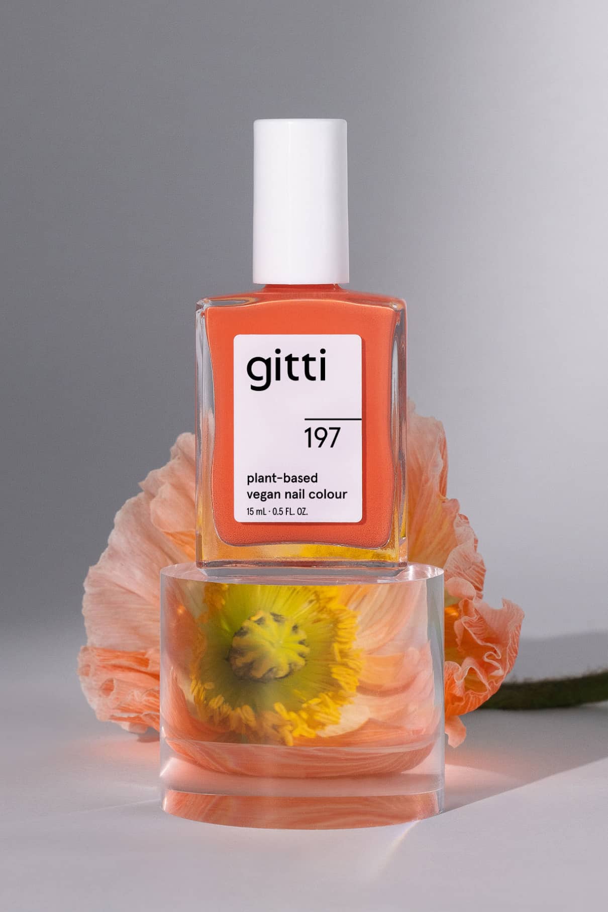 gitti no. 197