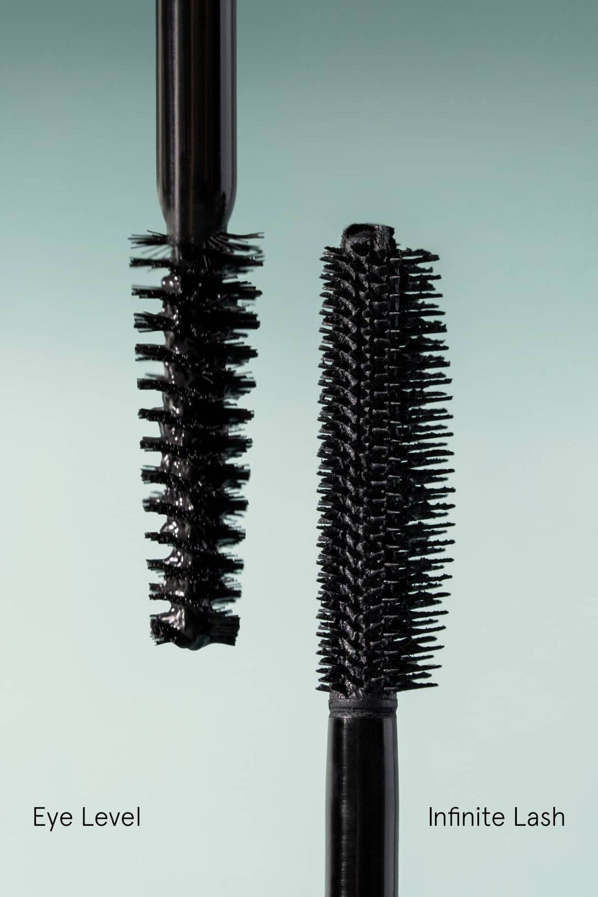 Lash Duo