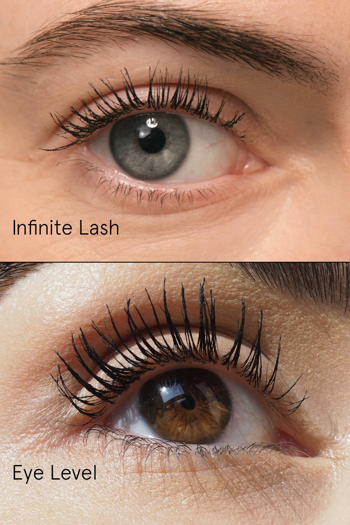Brow & Lash Duo