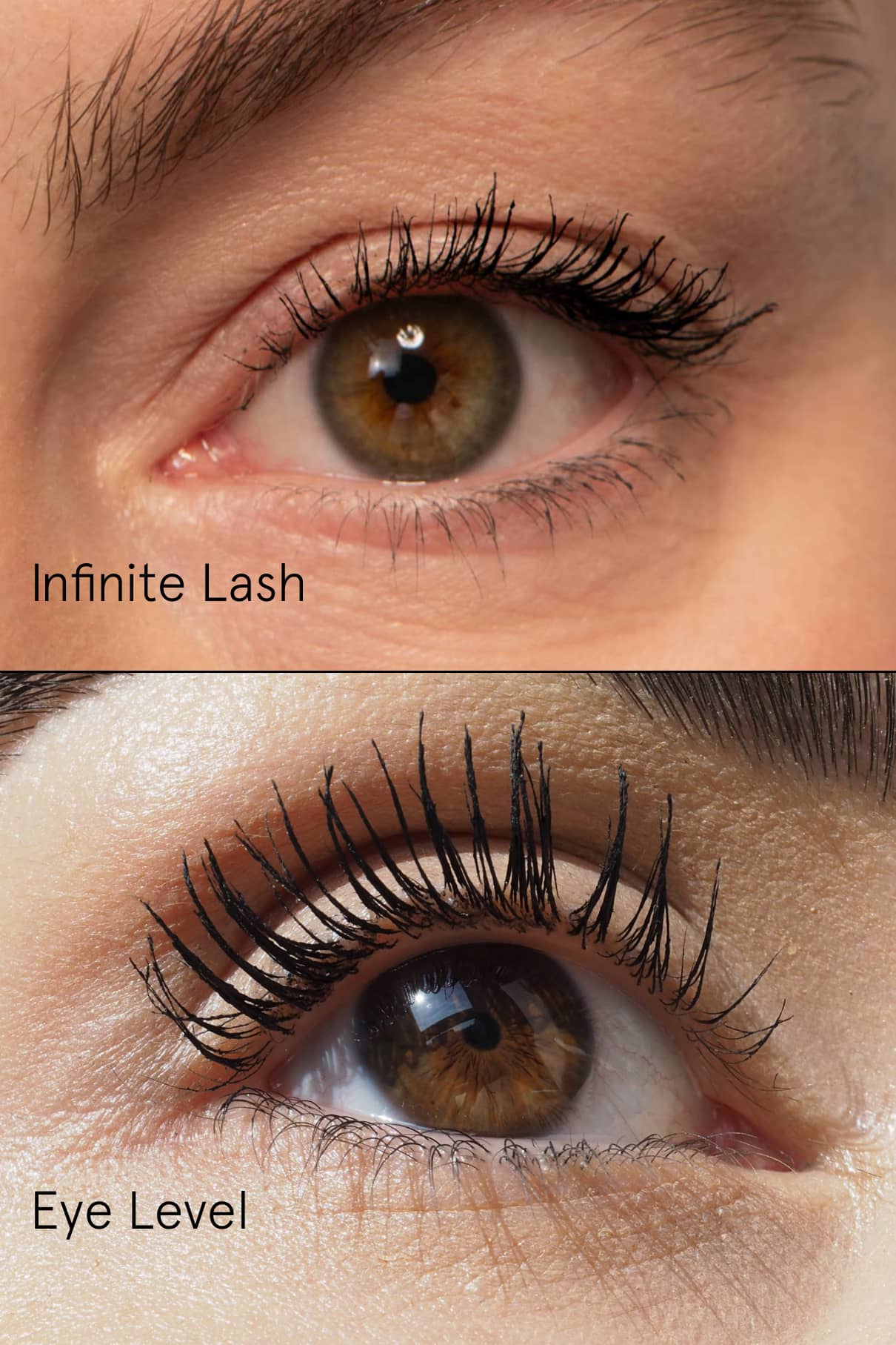 Lash Duo