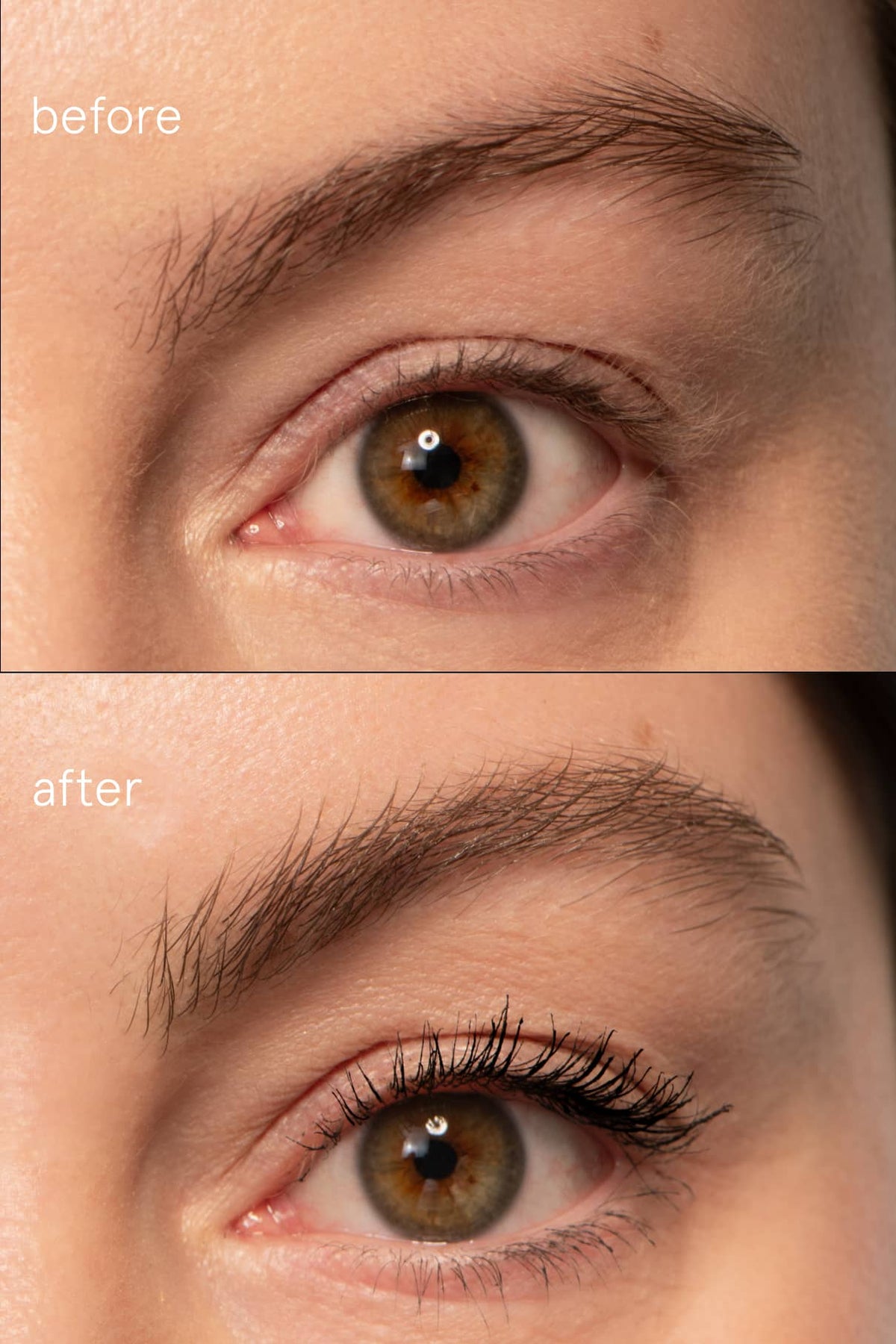 Brow & Lash Duo