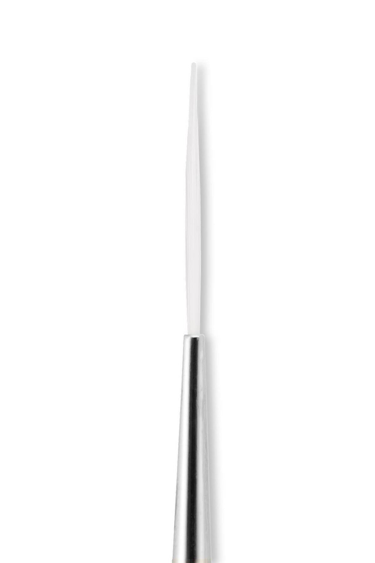 Nail Art Brush